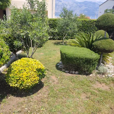 Damir * Ражанац